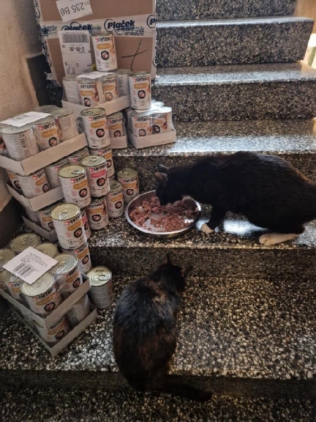 Záchranné pacičky z.s.